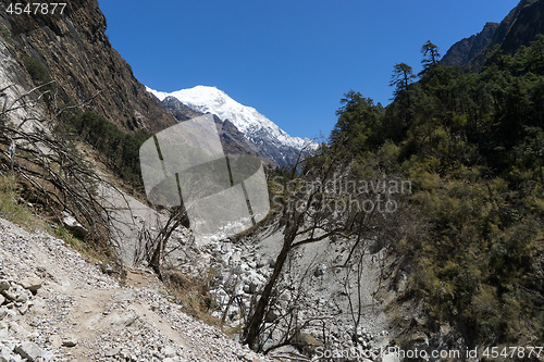 Image of Nepal trekking in Langtang valley