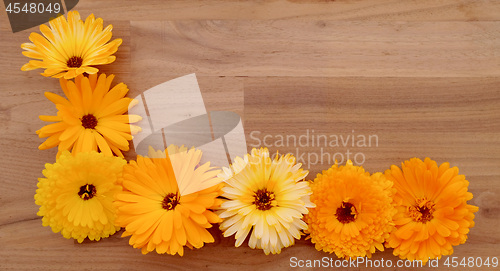 Image of Half border of yellow and orange calendulas on wood