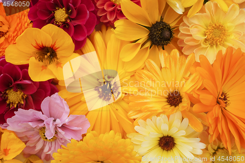 Image of Flower arrangement of calendulas, rudbeckia, nasturtium, dahlias