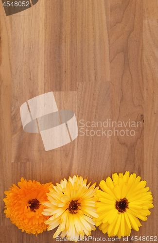 Image of Orange, cream and yellow calendula flowers on wood