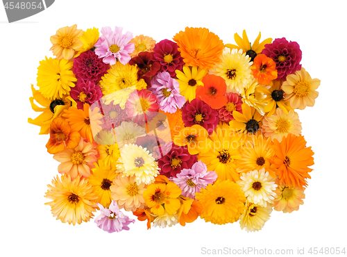 Image of Collection of mixed garden flowers on white