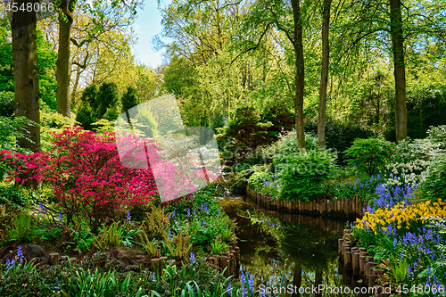 Image of Keukenhof flower garden. Lisse, the Netherlands.