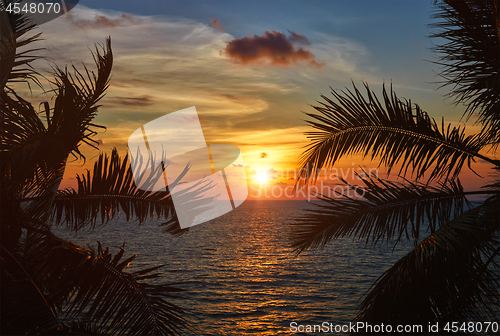 Image of Ocean sunset visible through palm leaves