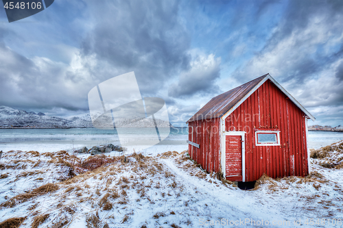 Image of Red rorbu house shed on beach of fjord, Norway