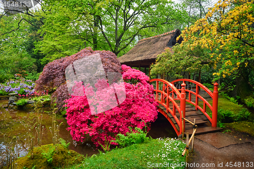 Image of Japanese garden, Park Clingendael, The Hague, Netherlands