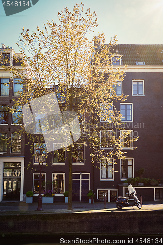 Image of Amsterdam street with canal