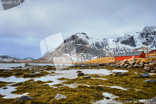 Image of Red rorbu house and fjord in Norway