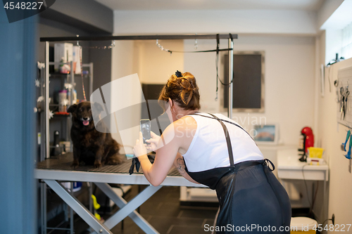 Image of pet hairdresser woman taking pictures of cute black dog