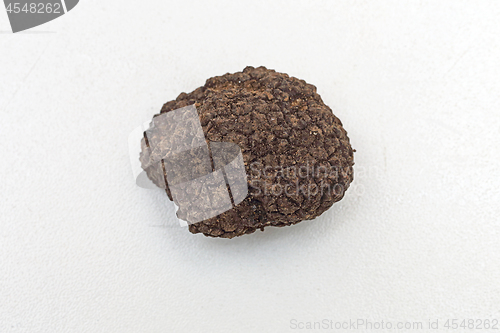 Image of Truffle