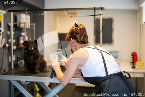 Image of pet hairdresser woman taking pictures of cute black dog