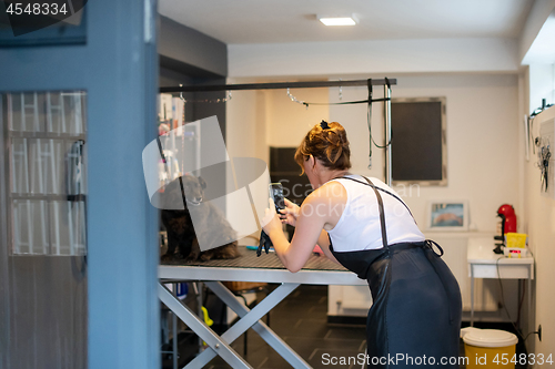 Image of pet hairdresser woman taking pictures of cute black dog