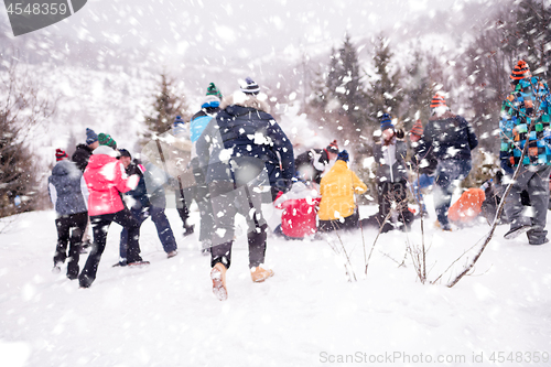 Image of group of young people having fun in beautiful winter landscape