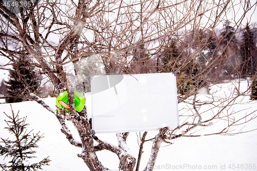 Image of whiteboard on winter tree