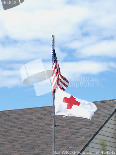 Image of Flags in the Wind