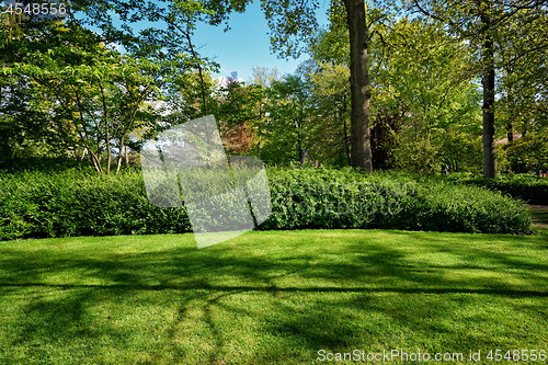 Image of Green lawn in Keukenhof flower garden, Netherlands