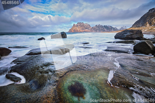 Image of Beach of fjord in Norway