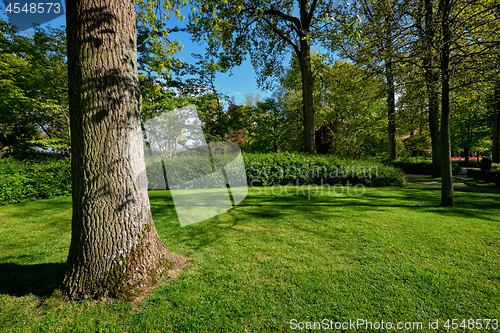 Image of Green lawn in Keukenhof flower garden, Netherlands