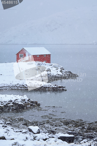 Image of Red rorbu house in winter, Lofoten islands, Norway