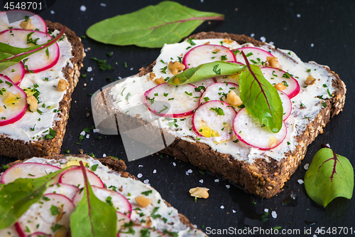 Image of Delicious vegetarian sandwiches