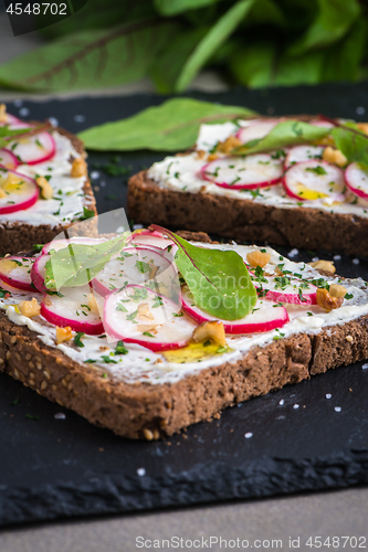 Image of Delicious vegetarian sandwiches