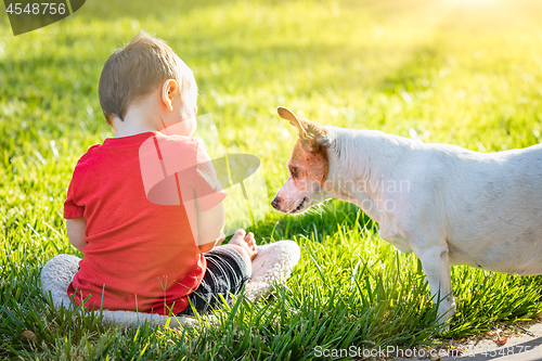 Image of Cute Baby Boy Sitting In Grass Playing With Dog