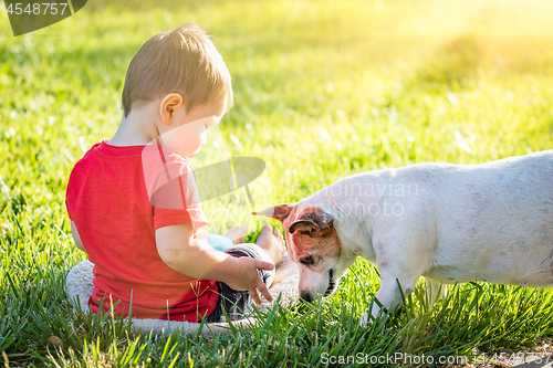 Image of Cute Baby Boy Sitting In Grass Playing With Dog