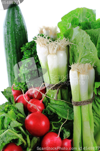 Image of Green vegetables, fresh onion and radishes close up-Abstract. 