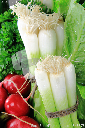 Image of Fresh Onion close up viev - Abstract. 