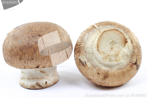 Image of Macro picture of Organic Cremini mushrooms.  