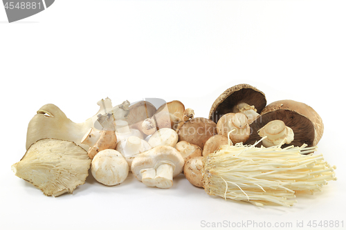 Image of Pile Mixed sorts Organic mushrooms. 
