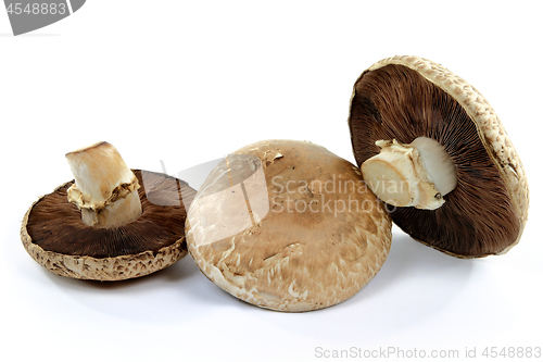 Image of Organic mushrooms Portobello top and bottom. 