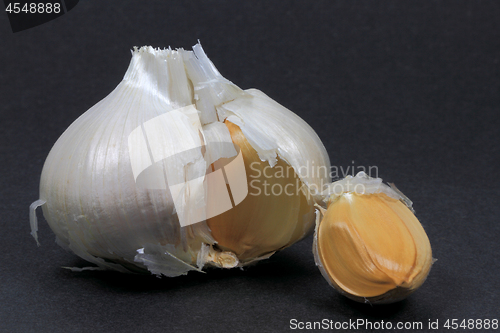 Image of Single Bulb and clove Elephant Garlic. 