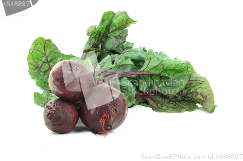 Image of Red edible nutritious roots ? Beets, with leaves.  