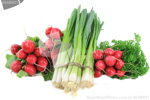 Image of Pile vegetables - radishes, fresh onion, parsley. 