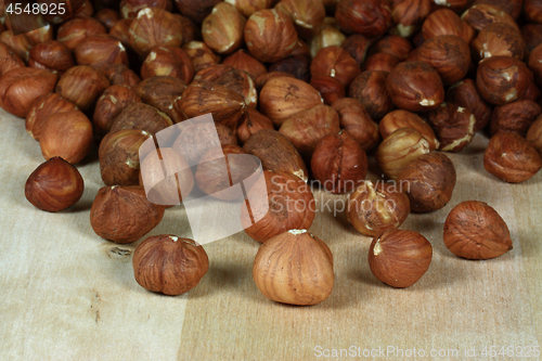 Image of Shelled Hazelnuts. 