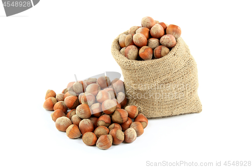 Image of Unshelled Hazelnuts  Nuts. 