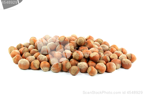 Image of Pile Unshelled Hazelnuts  Nuts. 