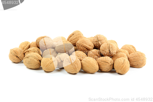 Image of Pile Unshelled Walnuts  (Nuts with shells). 