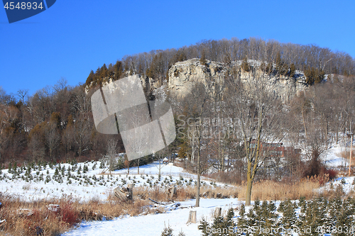 Image of Niagara Escarpment and Pine trees farm. 