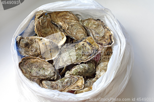 Image of Bags of Oysters