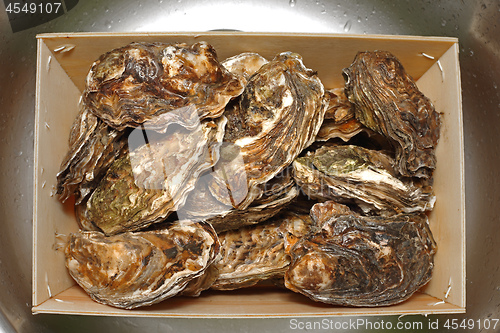 Image of Box of Oysters