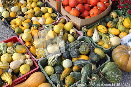 Image of Gourds