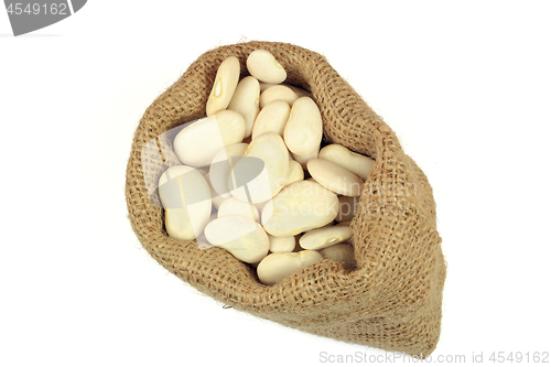 Image of Seeds Big Lima (Butter) bean. 