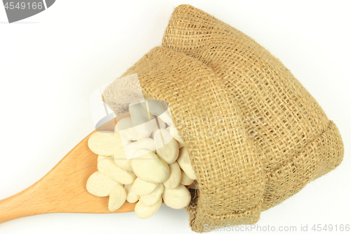 Image of Seeds Big Lima (Butter) bean. 