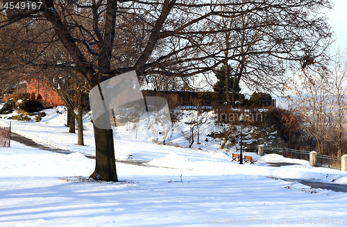 Image of Winter in park. 