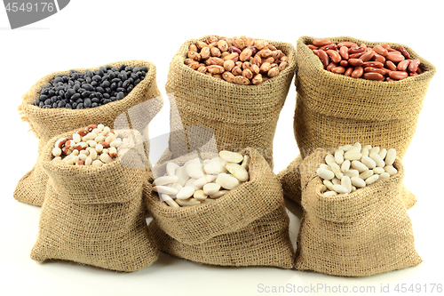 Image of Different kinds Beans. 