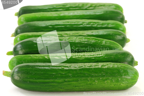 Image of Group Fresh Baby Cucumbers. 