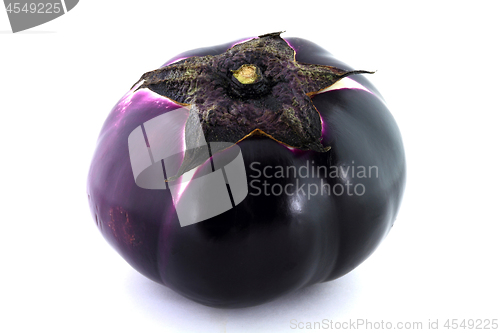 Image of Organic Sicilian Eggplant. 