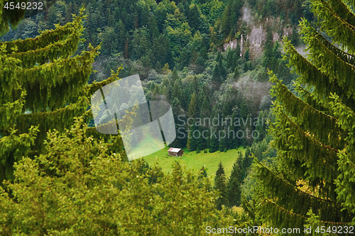 Image of Barn in the Forest