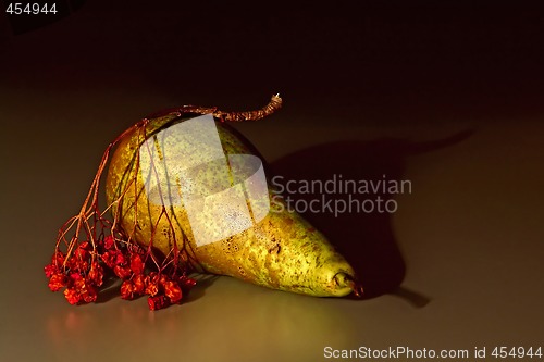 Image of Pears and the ashberry twig